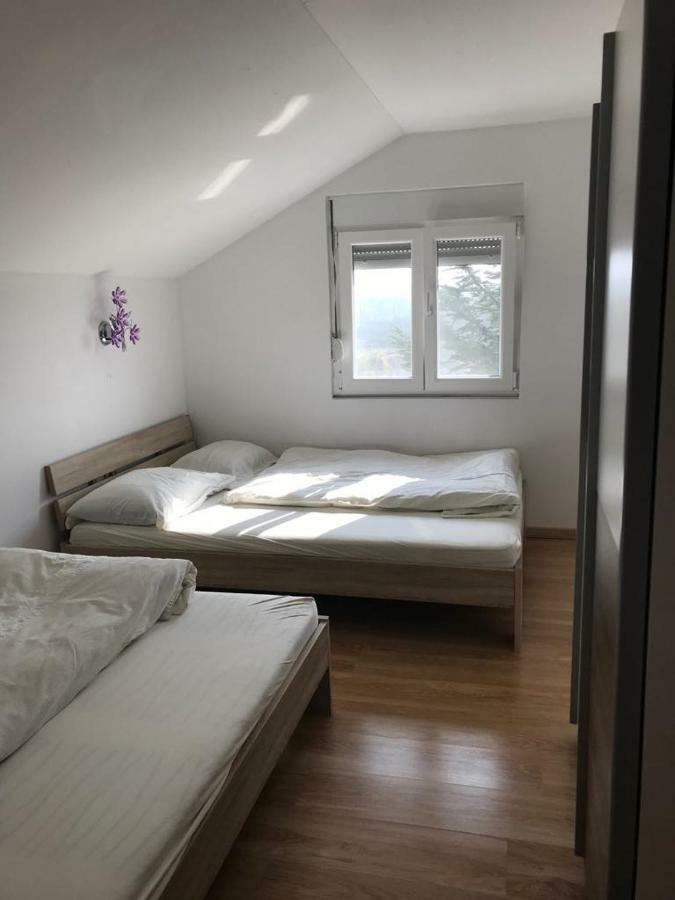 Livk Debeljak